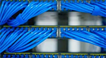 Alpha Innovations | Cable Length